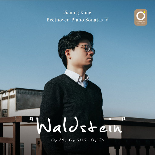 咸鱼的盛精男校漫画
